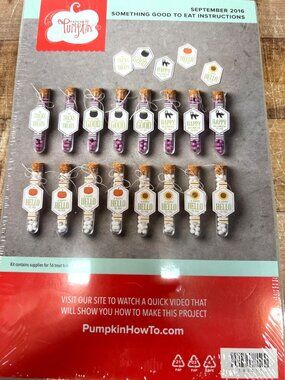 Stampin Up! Paper Pumpki Kit SOMETHING GOOD TO EAT Halloween Party Favors 143411